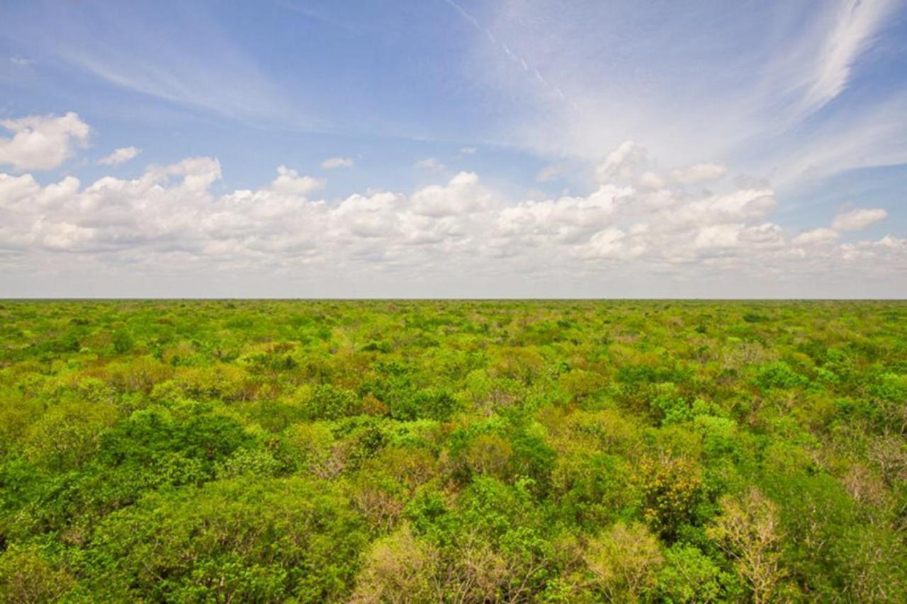 Ciudad Mayakoba Homes By Vimex Playa del Carmen Ngoại thất bức ảnh
